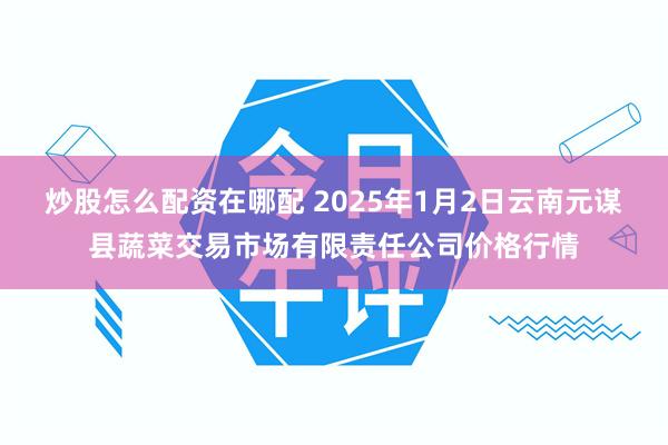 炒股怎么配资在哪配 2025年1月2日云南元谋县蔬菜交易市场有限责任公司价格行情