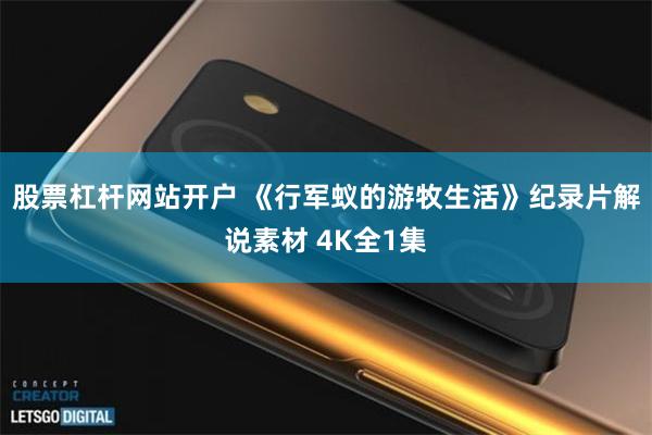 股票杠杆网站开户 《行军蚁的游牧生活》纪录片解说素材 4K全1集