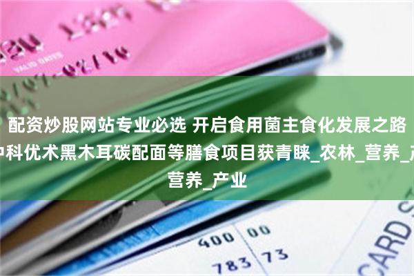 配资炒股网站专业必选 开启食用菌主食化发展之路，中科优术黑木耳碳配面等膳食项目获青睐_农林_营养_产业