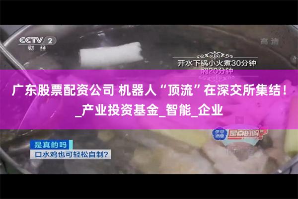 广东股票配资公司 机器人“顶流”在深交所集结！_产业投资基金_智能_企业