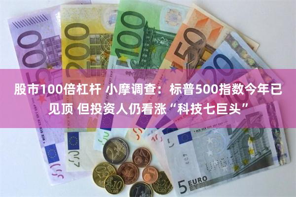 股市100倍杠杆 小摩调查：标普500指数今年已见顶 但投资人仍看涨“科技七巨头”