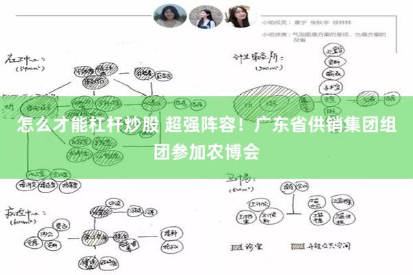 怎么才能杠杆炒股 超强阵容！广东省供销集团组团参加农博会