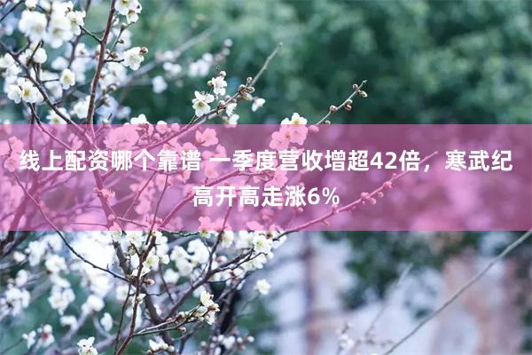 线上配资哪个靠谱 一季度营收增超42倍，寒武纪高开高走涨6%