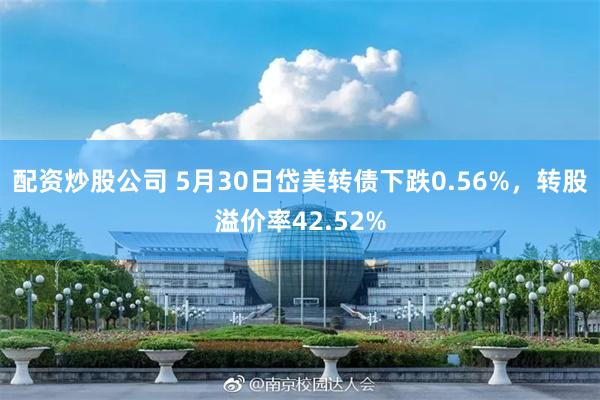 配资炒股公司 5月30日岱美转债下跌0.56%，转股溢价率42.52%