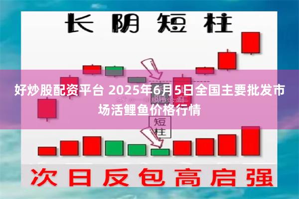 好炒股配资平台 2025年6月5日全国主要批发市场活鲤鱼价格行情