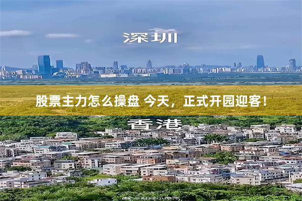 股票主力怎么操盘 今天，正式开园迎客！