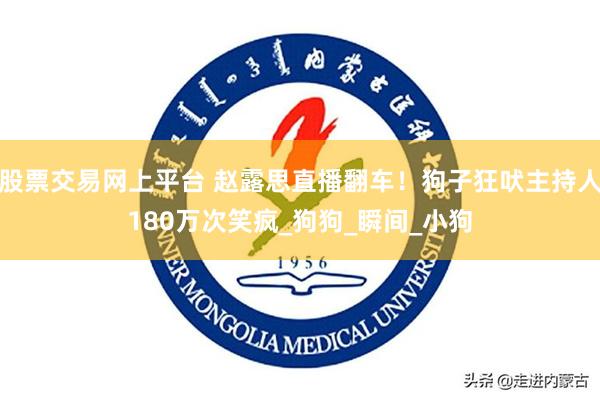股票交易网上平台 赵露思直播翻车！狗子狂吠主持人180万次笑疯_狗狗_瞬间_小狗