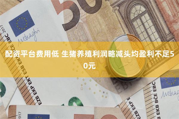 配资平台费用低 生猪养殖利润略减头均盈利不足50元