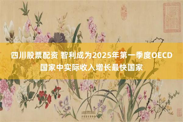 四川股票配资 智利成为2025年第一季度OECD国家中实际收入增长最快国家