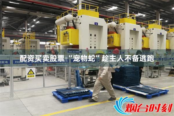 配资买卖股票 “宠物蛇”趁主人不备逃跑