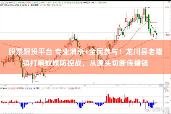 股票跟投平台 专业消杀+全民参与！龙川县老隆镇打响蚊媒防控战，从源头切断传播链