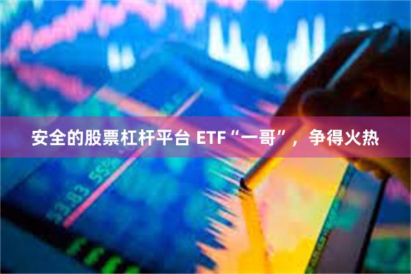 安全的股票杠杆平台 ETF“一哥”，争得火热