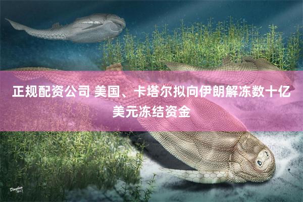 正规配资公司 美国、卡塔尔拟向伊朗解冻数十亿美元冻结资金