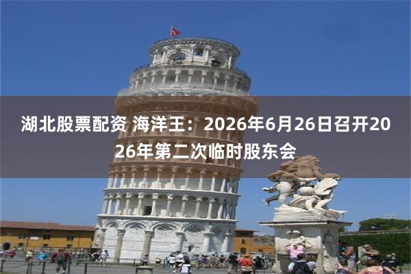 湖北股票配资 海洋王：2026年6月26日召开2026年第二次临时股东会