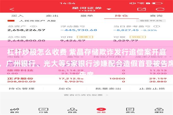 杠杆炒股怎么收费 紫晶存储欺诈发行追偿案开庭，广州银行、光大等5家银行涉嫌配合造假首登被告席