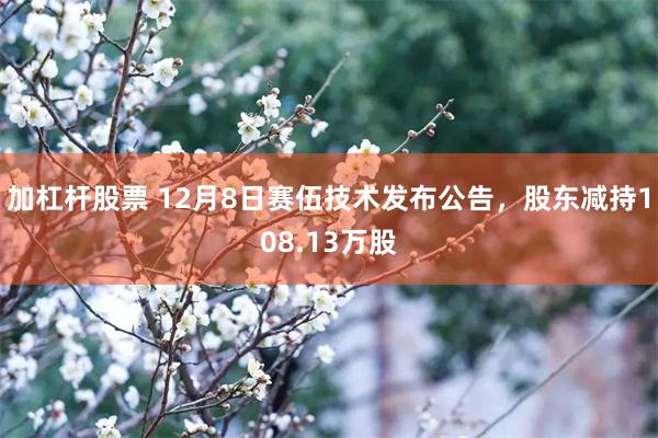 加杠杆股票 12月8日赛伍技术发布公告，股东减持108.13万股