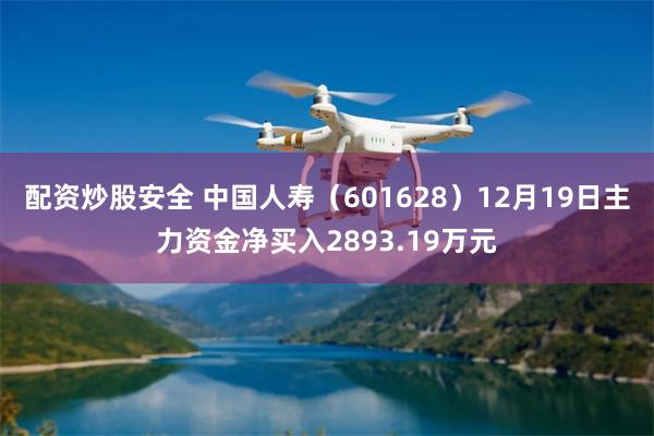 配资炒股安全 中国人寿（601628）12月19日主力资金净买入2893.19万元