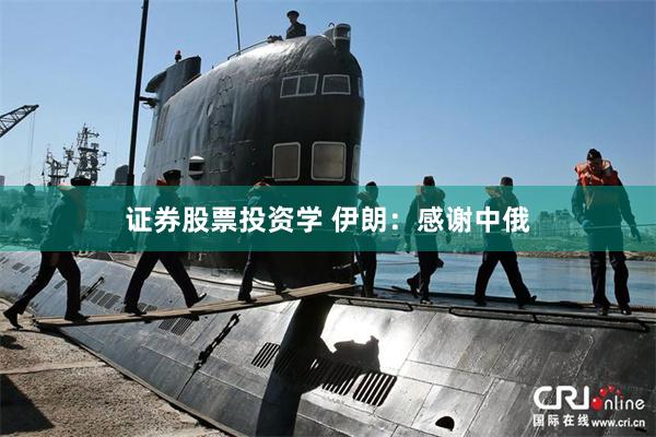 证券股票投资学 伊朗：感谢中俄