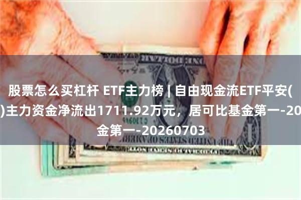 股票怎么买杠杆 ETF主力榜 | 自由现金流ETF平安(159233)主力资金净流出1711.92万元，居可比基金第一-20260703