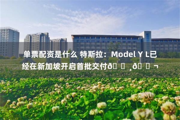 单票配资是什么 特斯拉：Model Y L已经在新加坡开启首批交付🇸🇬