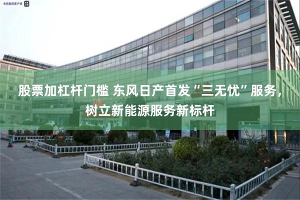 股票加杠杆门槛 东风日产首发“三无忧”服务，树立新能源服务新标杆