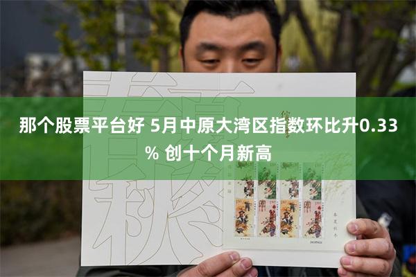 那个股票平台好 5月中原大湾区指数环比升0.33% 创十个月新高