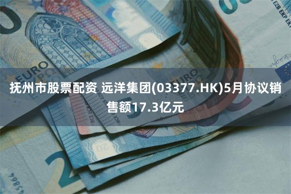 抚州市股票配资 远洋集团(03377.HK)5月协议销售额17.3亿元