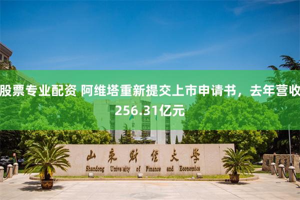 股票专业配资 阿维塔重新提交上市申请书,去年营收256.31亿元