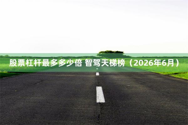 股票杠杆最多多少倍 智驾天梯榜(2026年6月)