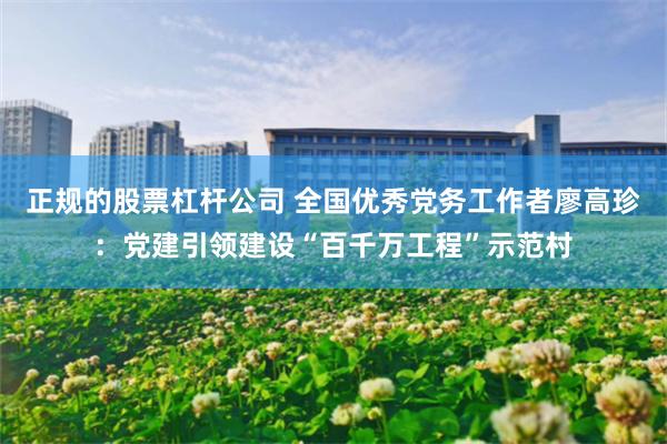 正规的股票杠杆公司 全国优秀党务工作者廖高珍:党建引领建设“百千万工程”示范村