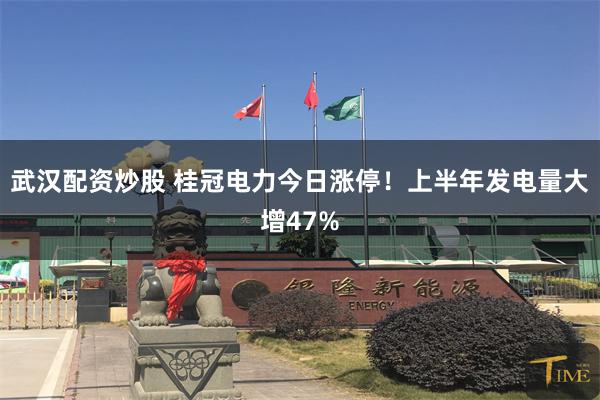 武汉配资炒股 桂冠电力今日涨停！上半年发电量大增47%