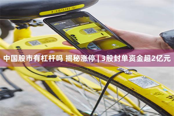 中国股市有杠杆吗 揭秘涨停 | 3股封单资金超2亿元