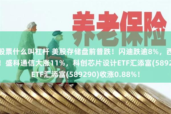股票什么叫杠杆 美股存储盘前普跌！闪迪跌逾8%，西部数据跌超12%！盛科通信大涨11%，科创芯片设计ETF汇添富(589290)收涨0.88%！
