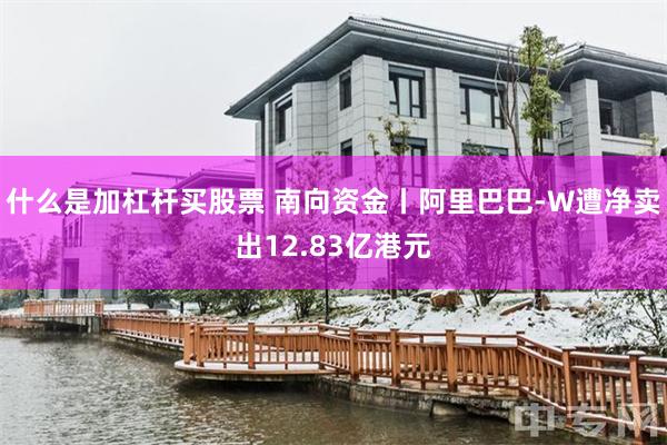 什么是加杠杆买股票 南向资金丨阿里巴巴-W遭净卖出12.83亿港元
