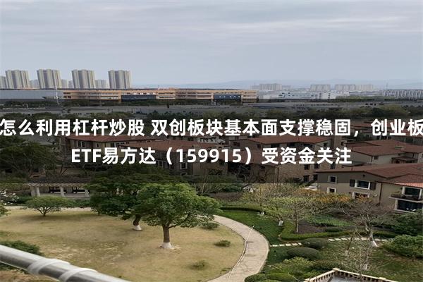 怎么利用杠杆炒股 双创板块基本面支撑稳固，创业板ETF易方达（159915）受资金关注