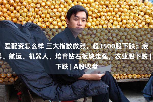 爱配资怎么样 三大指数微涨，超3500股下跌；液冷服务器、航运、机器人、培育钻石板块走强，农业股下跌 | A股收盘