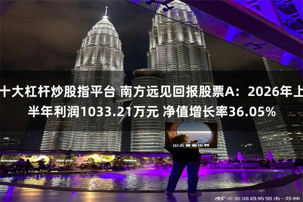 十大杠杆炒股指平台 南方远见回报股票A：2026年上半年利润1033.21万元 净值增长率36.05%