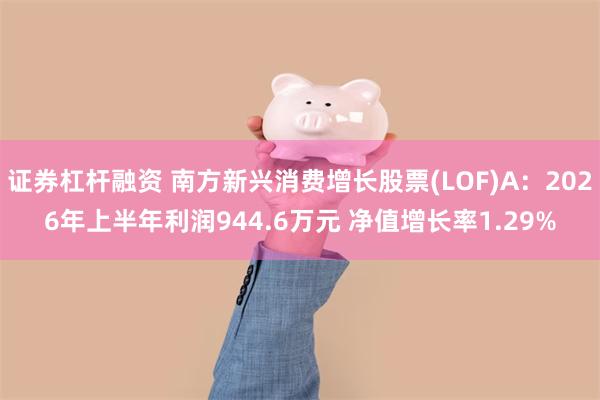 证券杠杆融资 南方新兴消费增长股票(LOF)A：2026年上半年利润944.6万元 净值增长率1.29%