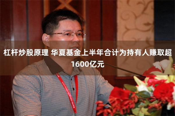 杠杆炒股原理 华夏基金上半年合计为持有人赚取超1600亿元