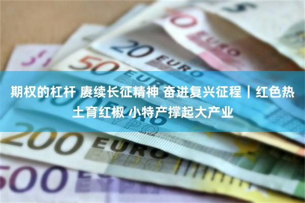 期权的杠杆 赓续长征精神 奋进复兴征程｜红色热土育红椒 小特产撑起大产业