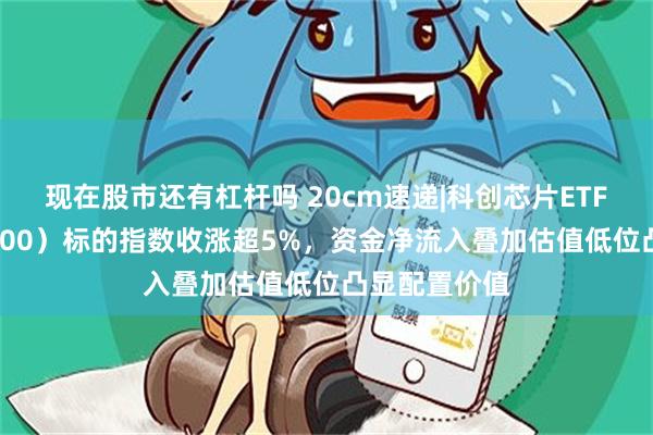 现在股市还有杠杆吗 20cm速递|科创芯片ETF国泰（589100）标的指数收涨超5%，资金净流入叠加估值低位凸显配置价值