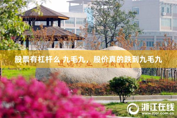 股票有杠杆么 九毛九，股价真的跌到九毛九