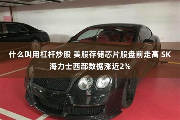 什么叫用杠杆炒股 美股存储芯片股盘前走高 SK海力士西部数据涨近2%