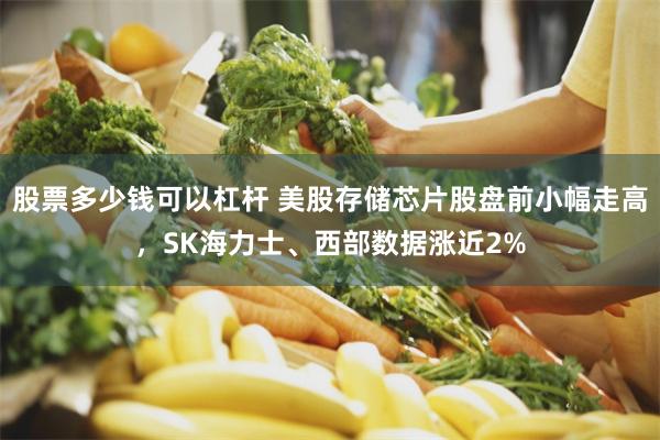 股票多少钱可以杠杆 美股存储芯片股盘前小幅走高，SK海力士、西部数据涨近2%