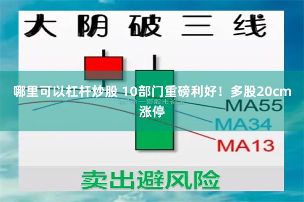 哪里可以杠杆炒股 10部门重磅利好！多股20cm涨停