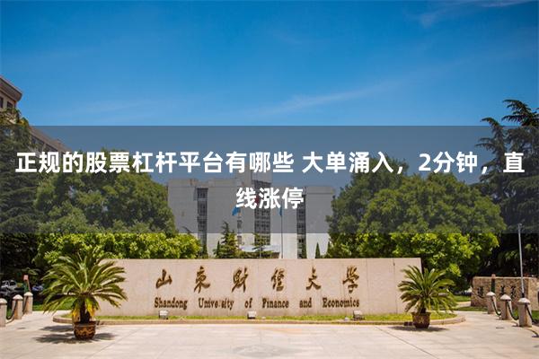 正规的股票杠杆平台有哪些 大单涌入，2分钟，直线涨停