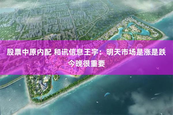 股票中原内配 和讯信息王宇：明天市场是涨是跌今晚很重要