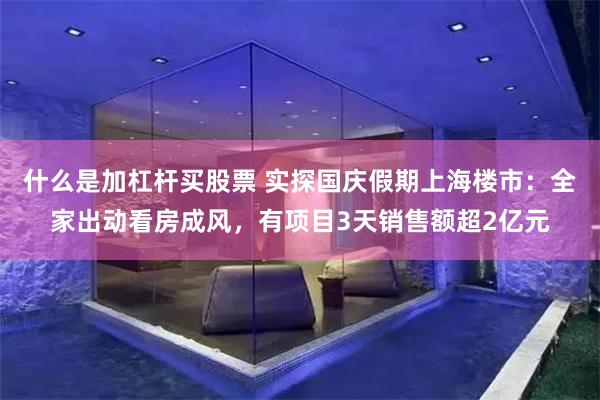 什么是加杠杆买股票 实探国庆假期上海楼市：全家出动看房成风，有项目3天销售额超2亿元