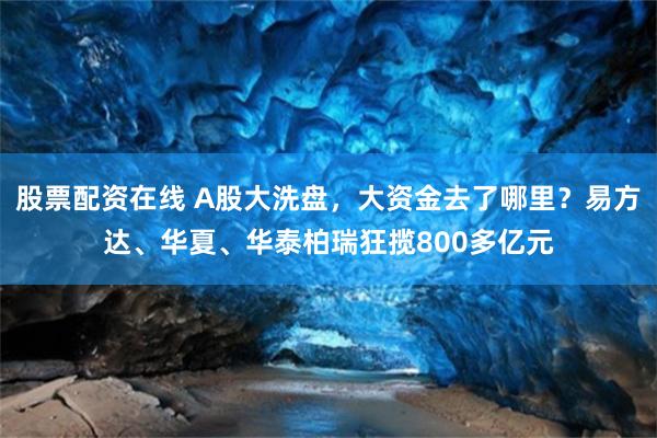 股票配资在线 A股大洗盘，大资金去了哪里？易方达、华夏、华泰柏瑞狂揽800多亿元