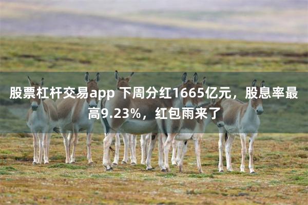 股票杠杆交易app 下周分红1665亿元，股息率最高9.23%，红包雨来了